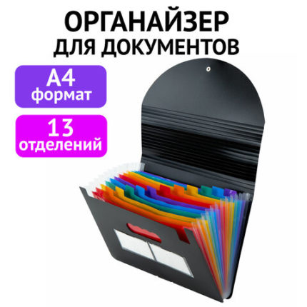 Папка-органайзер для бумаг и документов на резинке