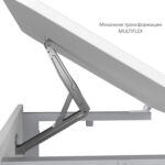 Стол-парта 1-местный, регулируемый угол, СУТ.54-01, 600х500х640-780 мм, рост 4-6, серый каркас, ЛДСП белая — изображение 9